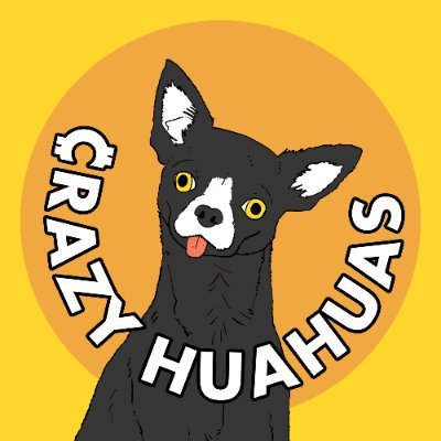 Crazy Huahuas image 1